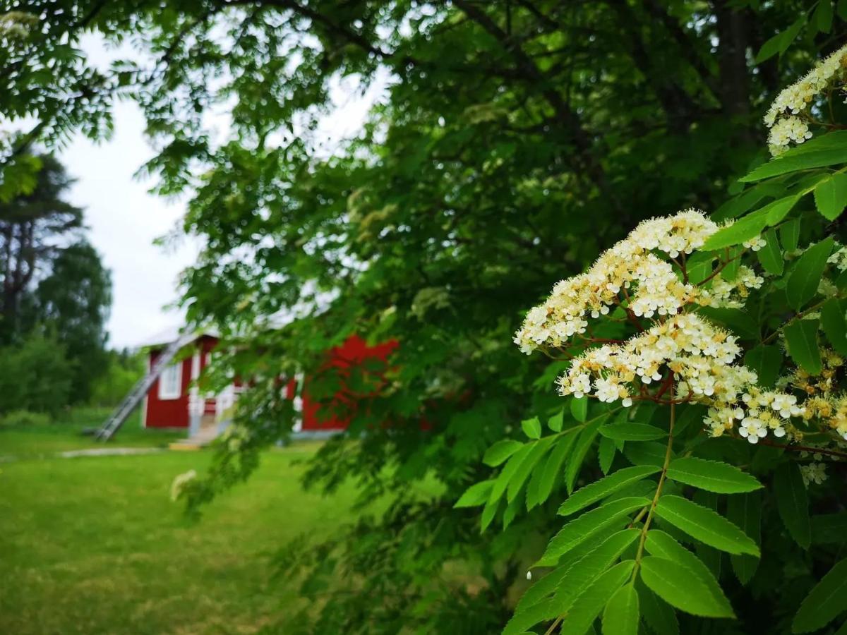 Raate Guest House Suomussalmi Exterior photo